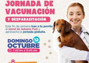 Anuncian próxima jornada de adopción de mascotas