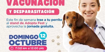 Anuncian próxima jornada de adopción de mascotas