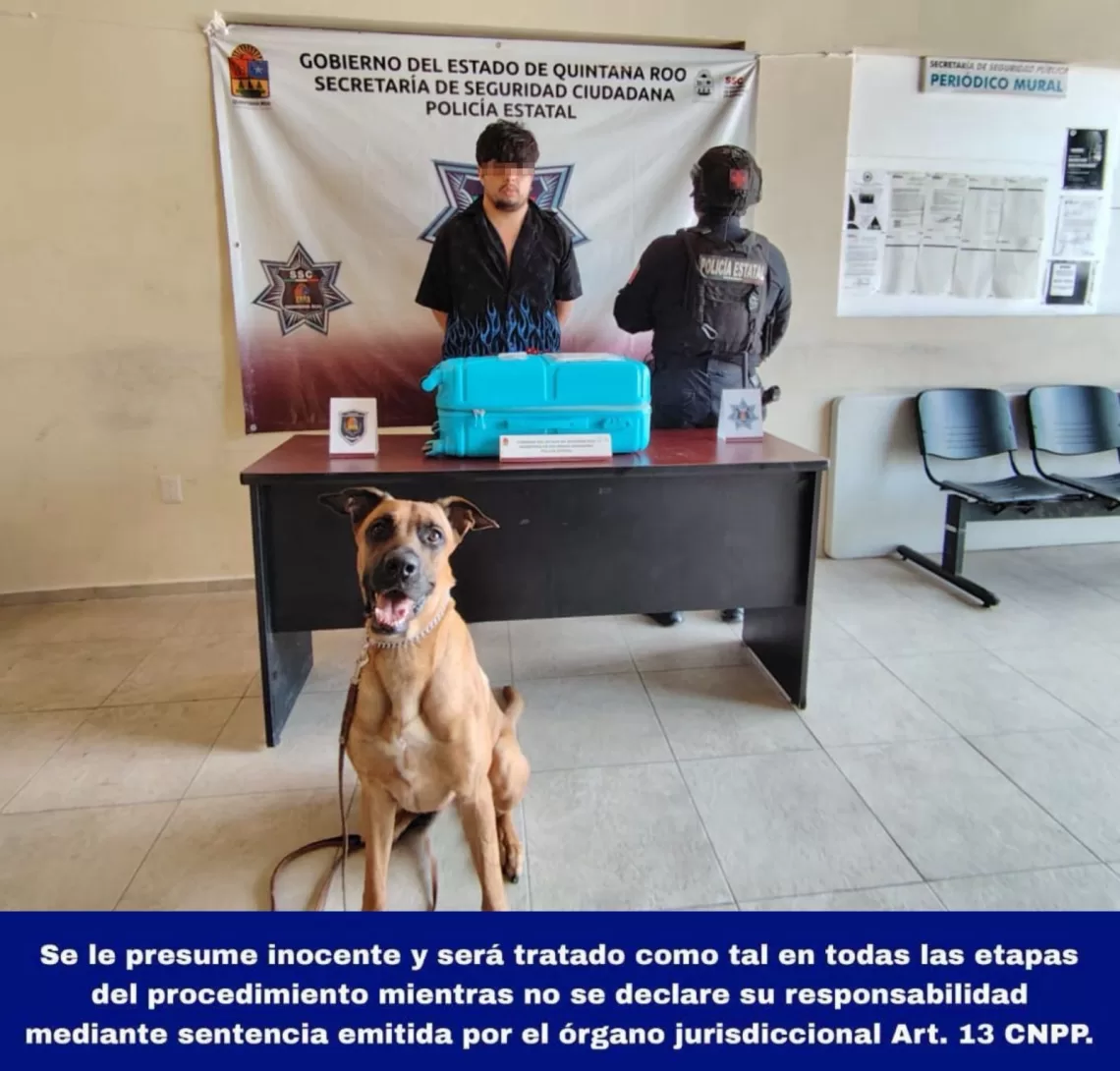 K-9 detecta cocaína en central de autobuses