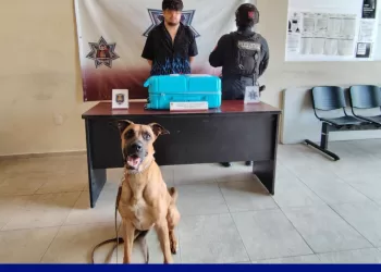 K-9 detecta cocaína en central de autobuses