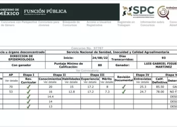 Cuatro denuncias y ascenso en puerta: el historial que persigue a Luis Gabriel Figueroa en Senasica