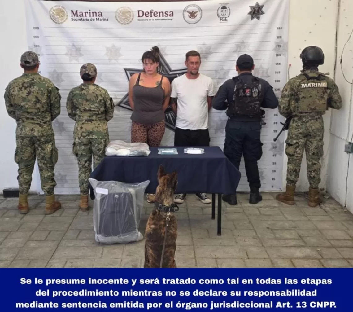 El K9 “Yoker” detecta drogas y lleva a la captura de dos estadounidenses en Playa del Carmen