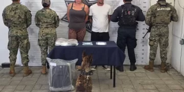 El K9 “Yoker” detecta drogas y lleva a la captura de dos estadounidenses en Playa del Carmen