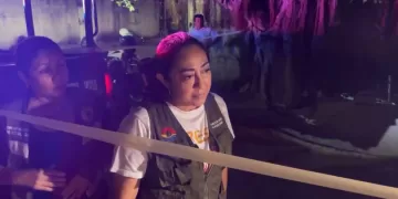 Detienen a dos hombres por casos de maltrato animal en Cancún