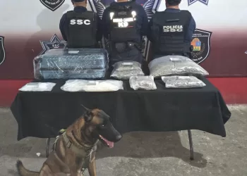 Localizan maleta con drogas en la Terminal de Autobuses de Cancún