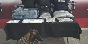 Localizan maleta con drogas en la Terminal de Autobuses de Cancún