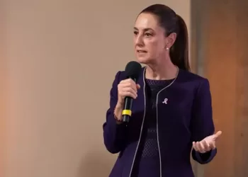Señala que la Cámara de Diputados tiene suficiente criterio para decidir si sanciona o no a sus integrantes