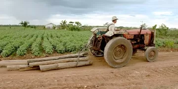 Profepa intensifica vigilancia sobre comunidades menonitas por riesgo a la Laguna de Bacalar