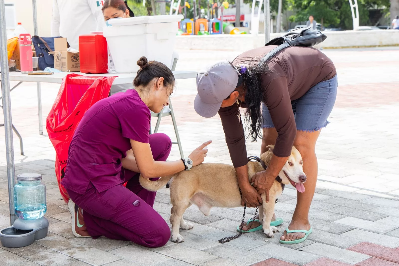 Estefanía Mercado llega a Puerto Aventuras con su “Chambamanía”