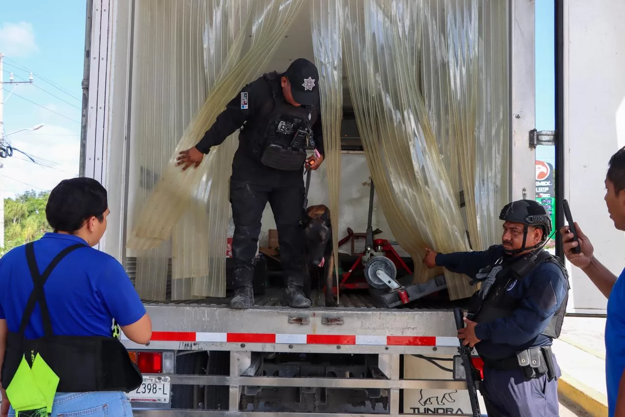 Refuerzan seguridad con filtros simultáneos de acceso y salida en Playa del Carmen