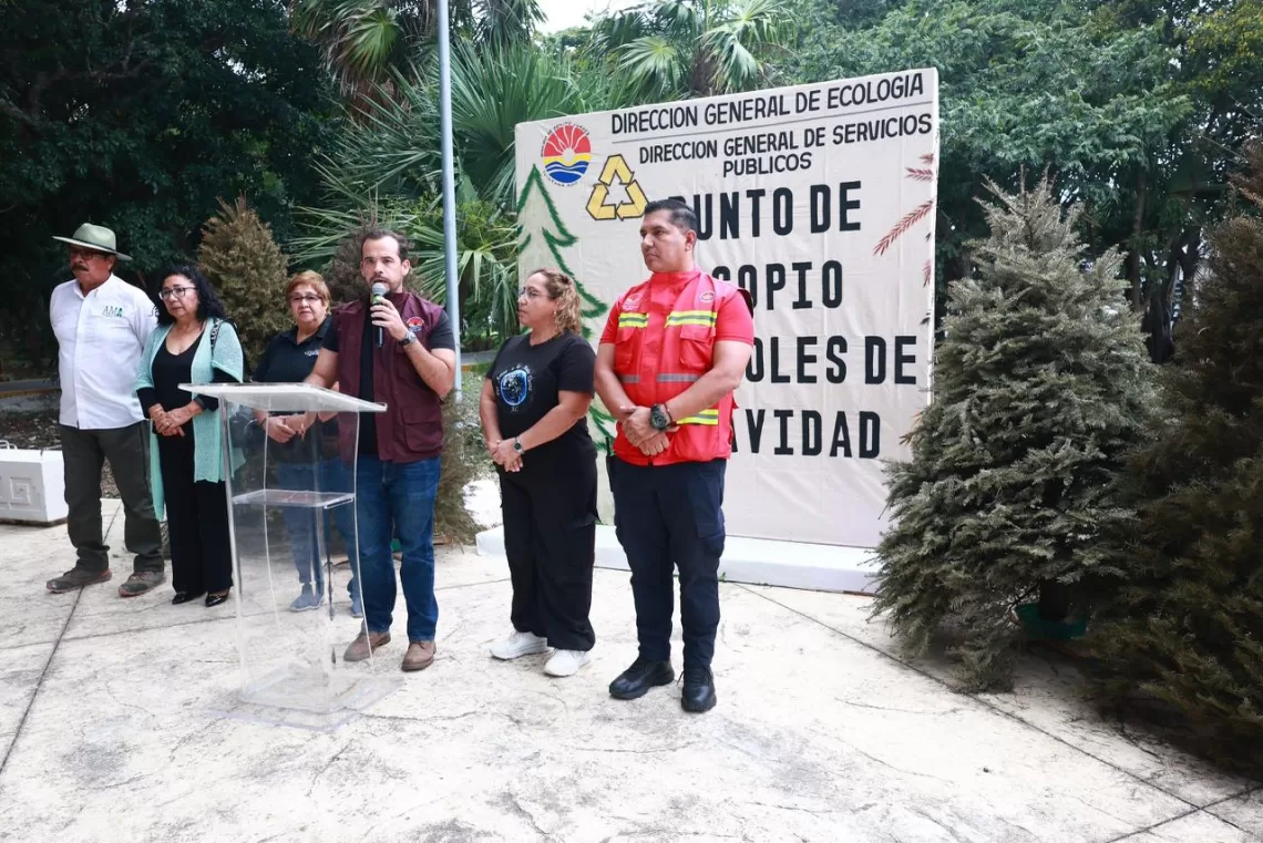Recicla tu pino y cuida la ciudad: Cancún activa 26 centros de acopio