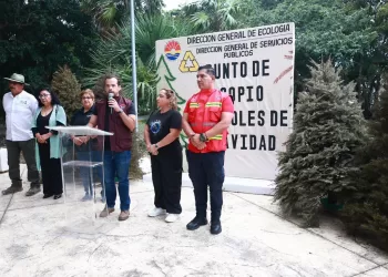 Recicla tu pino y cuida la ciudad: Cancún activa 26 centros de acopio
