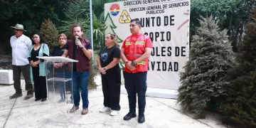 Recicla tu pino y cuida la ciudad: Cancún activa 26 centros de acopio
