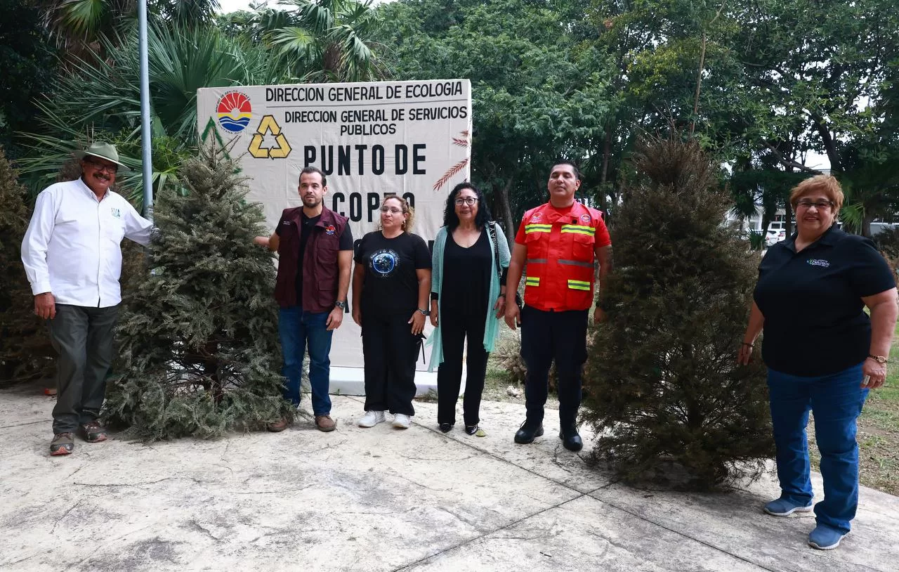 Recicla tu pino y cuida la ciudad: Cancún activa 26 centros de acopio