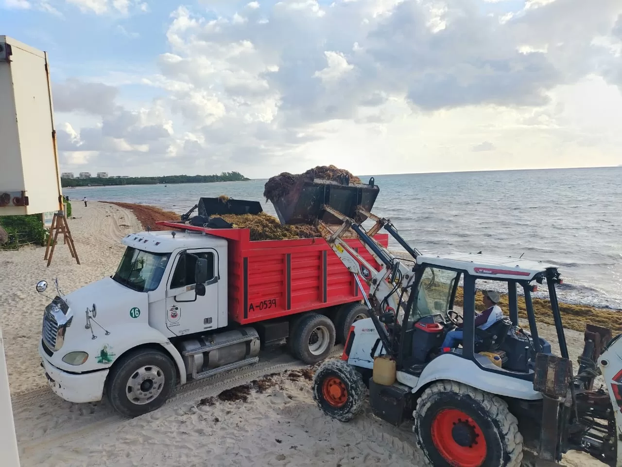 Surada provoca recale atípico en playas de Playa del Carmen