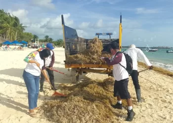 Surada provoca recale atípico en playas de Playa del Carmen