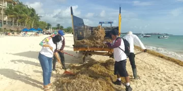 Surada provoca recale atípico en playas de Playa del Carmen