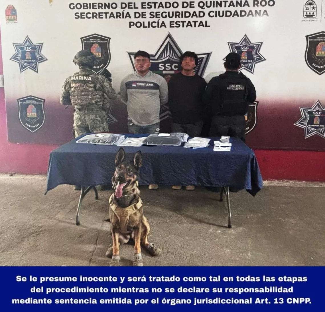 Con apoyo de binomio canino capturan a presuntos narcomenudistas