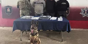 Con apoyo de binomio canino capturan a presuntos narcomenudistas