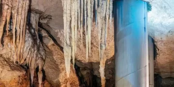 Sélvame MX denuncia pilotes dañados del Tren Maya en el Tramo 5 Sur