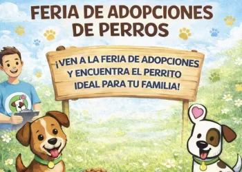Convocan a feria de adopción animal en Ciudad Mayakoba