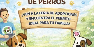 Convocan a feria de adopción animal en Ciudad Mayakoba