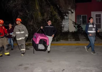 Rescatan a perrita víctima de maltrato en Cancún; ya hay proceso legal contra responsables