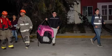 Rescatan a perrita víctima de maltrato en Cancún; ya hay proceso legal contra responsables