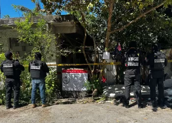 Operativos blindan Cancún: Caen 148 detenidos, drogas y armas fuera de las calles en una semana