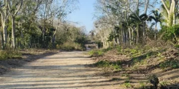 Productores de Tulum alertan por robo de herramientas que golpea al campo