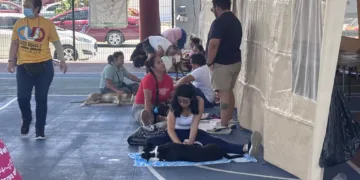 Impulsan campañas de esterilización para frenar sobrepoblación de perros y gatos en Quintana Roo