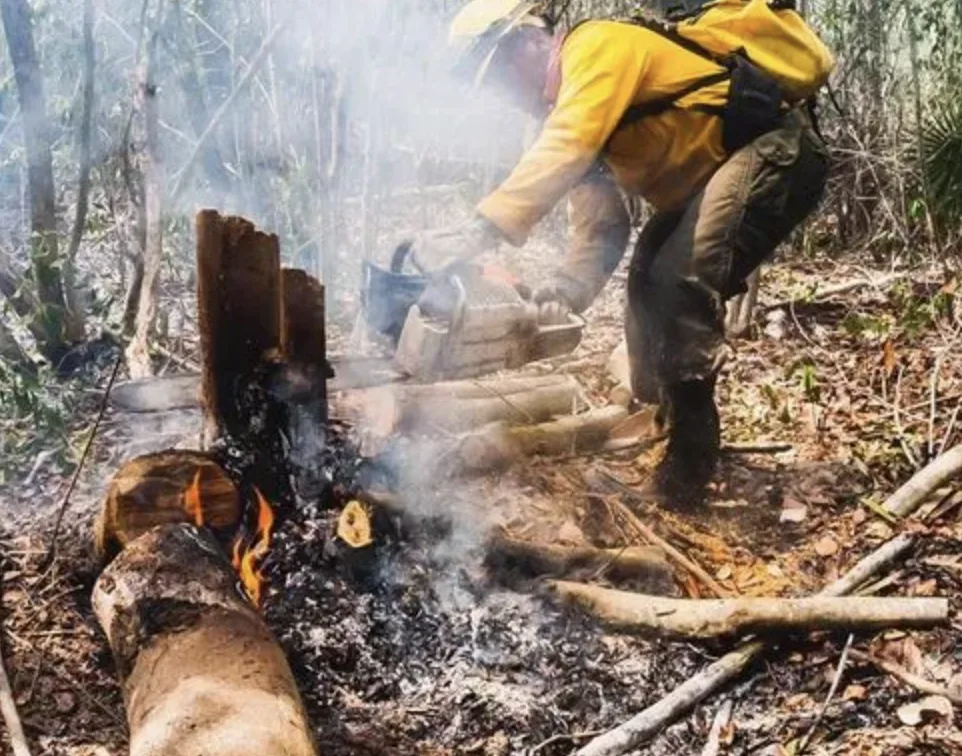 Incendios forestales caen a mínimos históricos en Quintana Roo; reportan solo 44 hectáreas afectadas en 2026