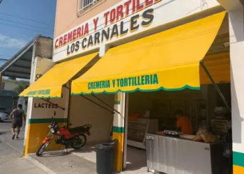 Golpe al bolsillo: tortilla en Quintana Roo alista nuevo incremento por alza en harina