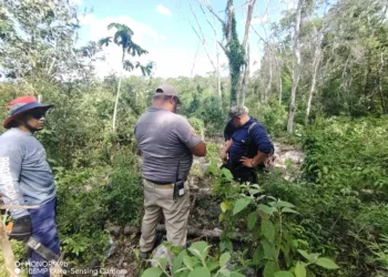Rescatan a dos hombres extraviados en la selva del ejido Manuel Antonio Ay