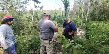 Rescatan a dos hombres extraviados en la selva del ejido Manuel Antonio Ay