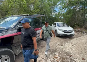 Hallan cuerpo sin vida en la colonia Avante de Cancún