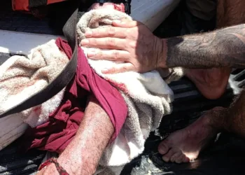 Adulto mayor es atacado por cocodrilo en Casa Cenote de Tulum