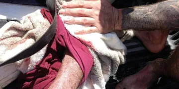 Adulto mayor es atacado por cocodrilo en Casa Cenote de Tulum