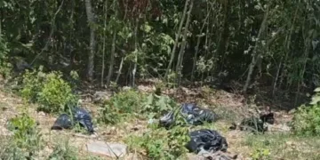 Fue falsa alarma: Movilizan a policias a la Región 205 concluye en hallazgo de desechos animales