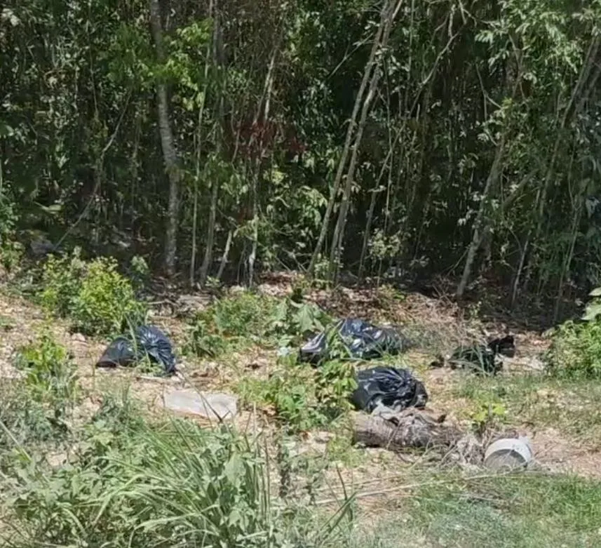 Fue falsa alarma: Movilizan a policias a la Región 205 concluye en hallazgo de desechos animales