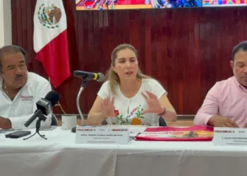No es recaudatorio los operativos es concientizar a los conductores ruidoso dijo Atenea Gómez Ricalde 