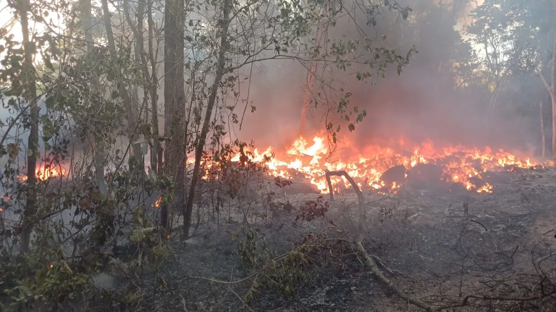 Explosiones estremecen zona irregular en Cancún; retumban entre La Chiapaneca y El Porvenir