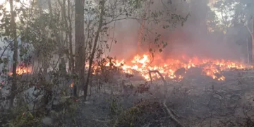 Explosiones estremecen zona irregular en Cancún; retumban entre La Chiapaneca y El Porvenir