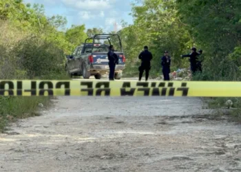Hallan a una persona sin vida en área verde en la Región 208 de Cancún