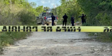 Hallan a una persona sin vida en área verde en la Región 208 de Cancún