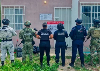 Cateos simultáneos dejó detenidos y aseguramiento de droga en Cozumel y Cancún