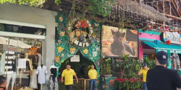 Animalandia Maya