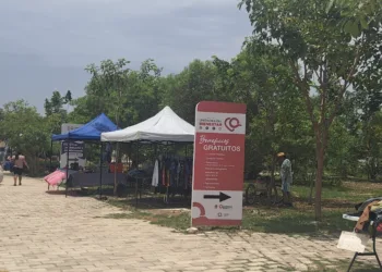 Buscan reubicar a tianguistas en espacios fijos de Tulum