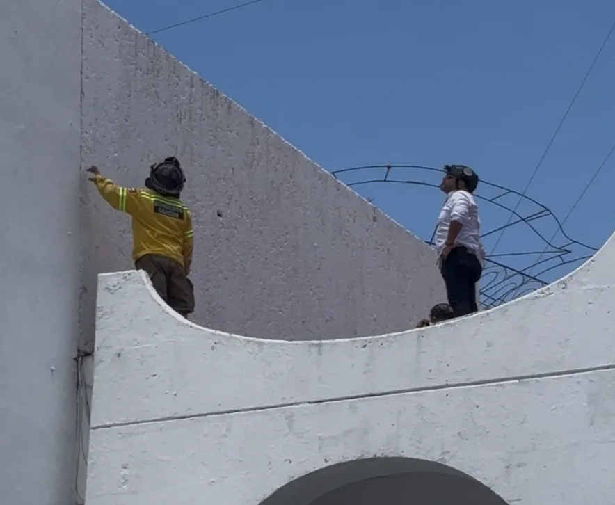 Descarta Protección Civil daños estructurales en edificios públicos de Cancún tras sismo; algunos inmuebles requieren mantenimiento