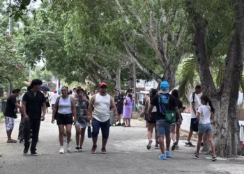 “Es un buen tipo mi viejo”: entre flores y recuerdos, cientos honran a papá en Los Olivos